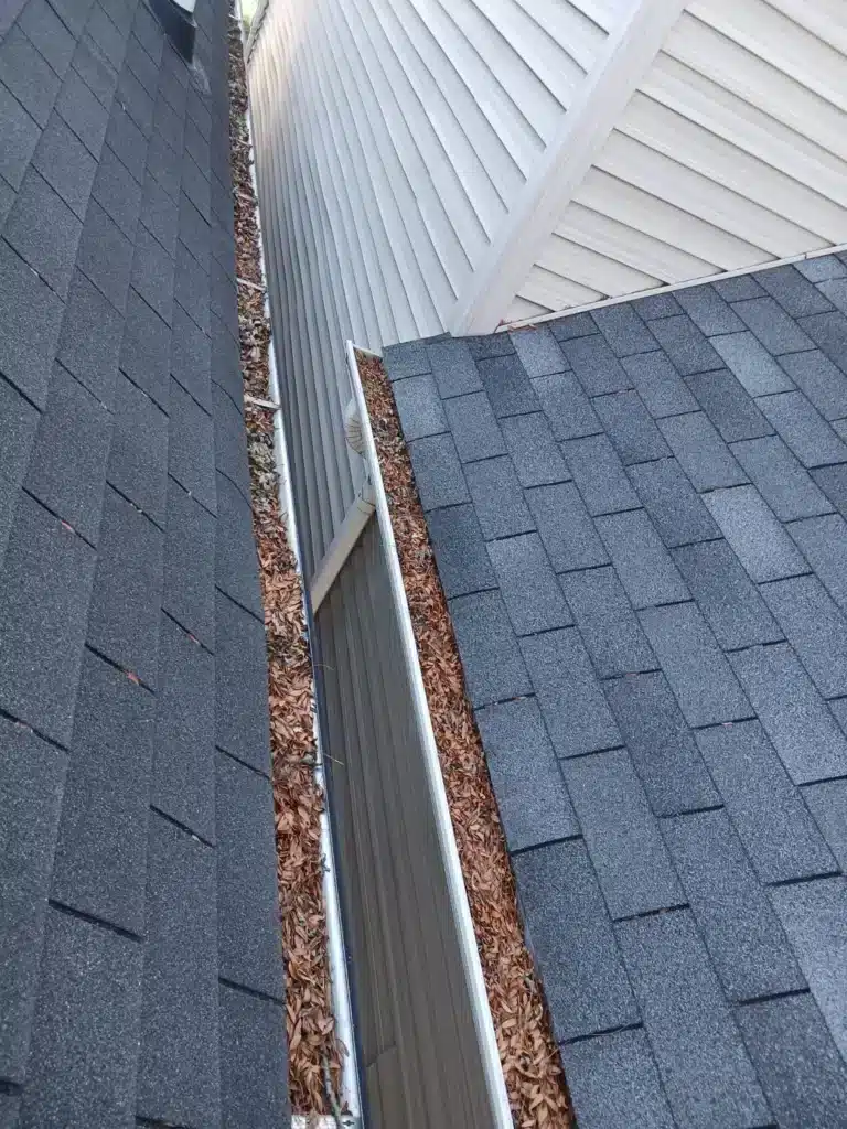 Gutter Wilson Company -Gutter Eavestrough Cleaning